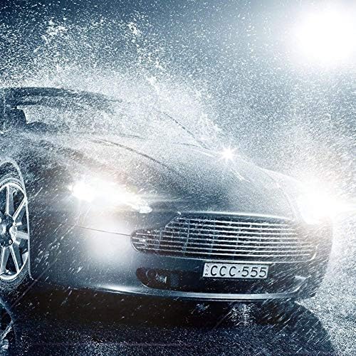 H11 Headlight Bulb H11 Halogen Bulb 5000K Super White Light Long Life Replacement PGJ19-2 12V/55W (H11, 2 Pack)